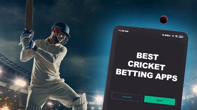 Choosing the Right Cricket Betting Platform